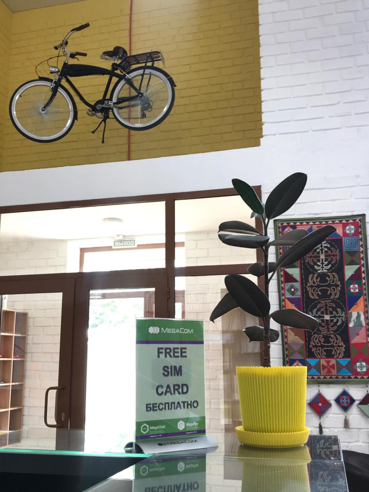 Ololofreelander Hostel&Coworking Bisjkek Eksteriør billede